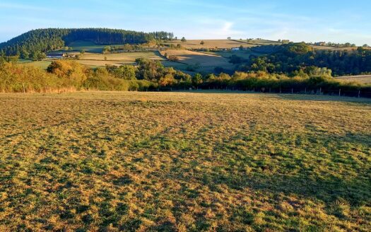 Propriété équestre sur 16 hectares