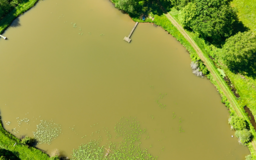 Propriété avec étang sur près de 5 hectares