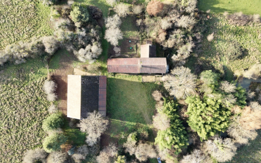 Ancien moulin sur 8 hectares