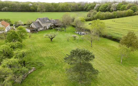 Propriété avec deux maisons et un gîte sur 7000m2 de jardin