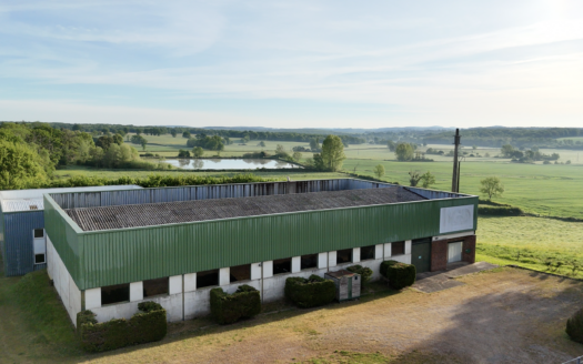 Local industriel / commercial de plus de 2500m2