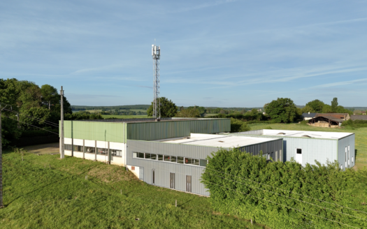 Local industriel / commercial de plus de 2500m2
