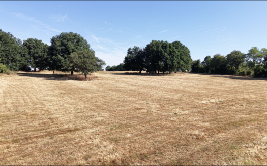 Longère authentique avec grand terrain