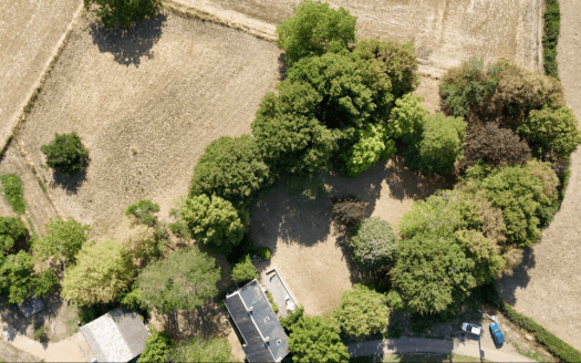 Charmante maison avec jardin arboré